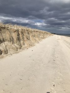 Dune at the end of Popponesset Island