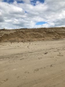 Dune across from family shellfish area